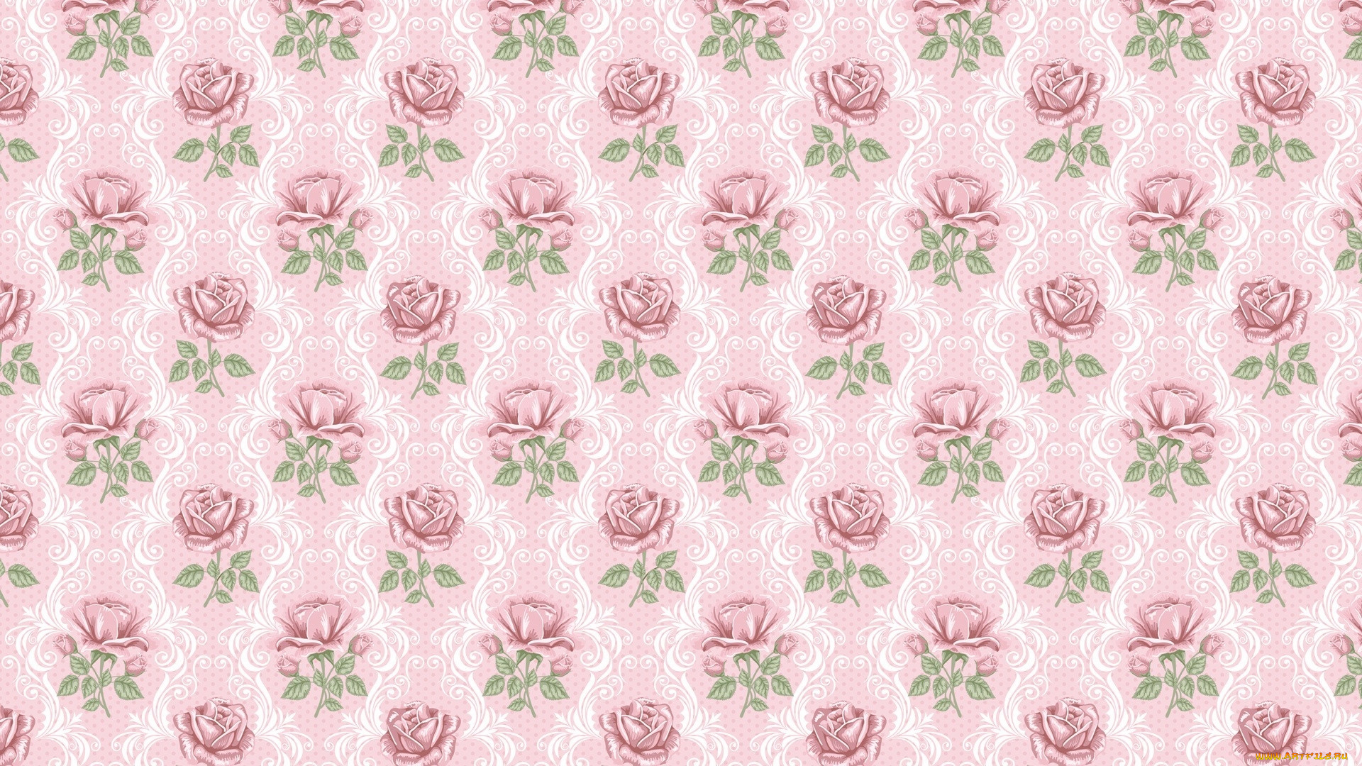  ,  , flowers, , 